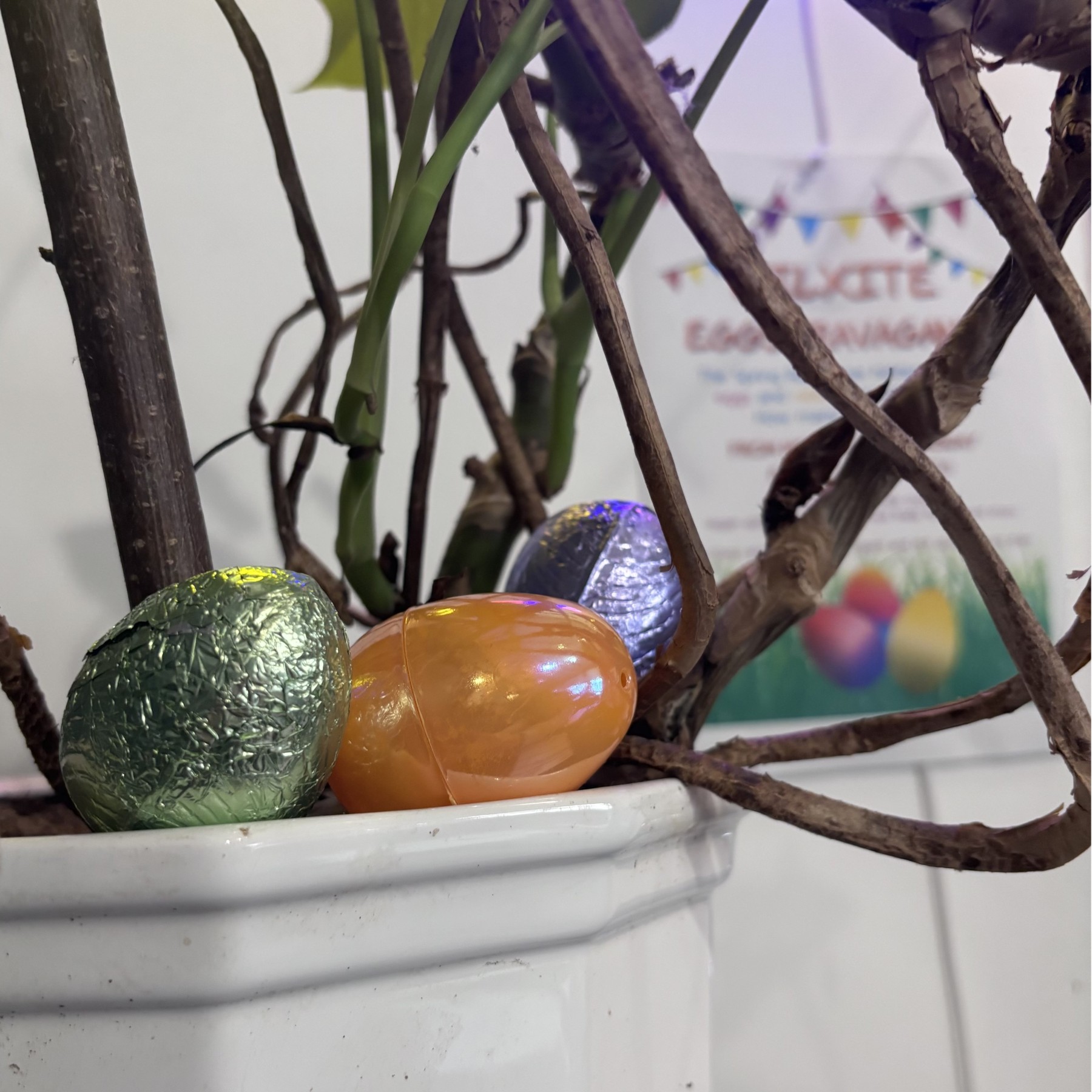 Wilxite Eggstravaganza!